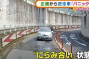 【悲報】“逆走車”怖すぎるwwwwwwwwwww