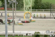 【悲報】ばんえい4Rで人気馬がゴール直前で転がって寝てしまうwwwww