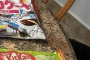 父が持ち帰った日本のお菓子←「良い父親」（海外の反応）