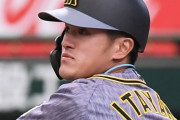 阪神　板山が１軍に合流　２軍で打率・２６５、５本塁打の成績