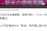 転売ヤー「米を倍の値段で売る！」メーカー「倍でも売れるんだ？値上げしょ……」