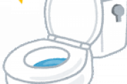 【疑問】なあ？家の洋式トイレって新品と取り替えて貰うのに３０万円もかかるの？