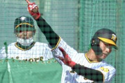 阪神・木浪“バット肩乗せ打法”挑戦中　正遊撃手獲りへ将の助言参考「最短で出せ力負けしない」