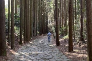 【ガチ歩き】箱根→三島まで山越え※38km歩きますｗｗｗｗｗｗｗｗｗｗ