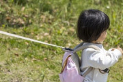 【唖然】子供に「ハーネス」と「リード」つけてるの見かけたんやが...