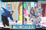 【日向坂46】今回の『ひなあい』いつも通り異常だった件ｗｗｗｗｗｗｗｗ