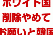 韓国外相が電話口でパニック状態「ホワイト国除外やめて！お願い！」　河野外相は一蹴か