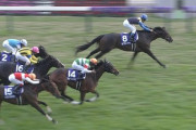 【競馬】キタサン、マリア、エアスピ回避で秋天のメンツがショボ過ぎる