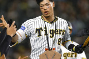 【野球】「WBC後に米国に居座る」という荒技も取りざた　阪神・佐藤輝と球団のチキンレースはどうなるのか