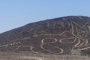 海外「小3のイラストかよ！」ナスカの地上絵で「古代ネコ」発見！ 衝撃ニュースにネット騒然！　海外の反応