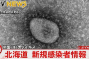 新型コロナ　北海道で過去最多9000人超の見通し