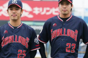 プロ野球チームのユニフォームってどれくらいの周期で変えるのが理想だろう