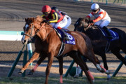 【競馬板スレ】今日の新潟1レース、簡単すぎて大金突っ込むwwwwww