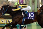 【競馬】　ハーツクライが種牡馬引退　
