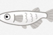 アクア民さん「メダカみたいなすぐ死ぬ魚がなぜこんなに人気なのか理解できん」