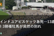マインドユアビスケッツ急死…13歳 GⅠ3勝種牡馬が突然の別れ