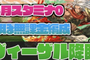 【パズドラ】ねぇだからヴィーザルのマルチ周回パ教えてって！