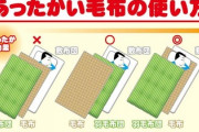 【悲報】人類、全員毛布の使い方を間違っていたｗｗｗｗｗｗｗｗｗｗｗｗｗｗｗｗｗｗｗｗｗｗｗｗｗｗｗｗｗｗ