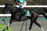 繁殖牝馬で成功する基準がわからない