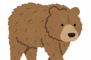 【画像】オラついたヒグマが撮影されるｗｗｗｗｗ