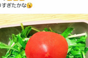 【喧嘩】女さん、夫の弁当をトマト丸ごと1個にしてガチ切れされてしまう