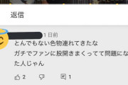 【元でちゃう】りさこさん「ファンに股開きまくって」のアンチコメに本名で返信！！