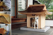 【画像あり】2000万円の犬小屋ｗｗｗｗｗｗｗｗｗｗｗｗｗｗｗｗｗｗｗｗｗｗｗｗｗｗｗｗｗｗｗｗｗｗｗｗｗｗ