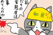 「100日後に改心するネトウヨ」43日目