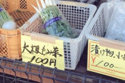 無人野菜販売所の店主
