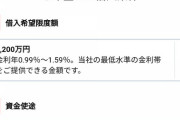 1200万円のローン組んで投資しようと思うんだけどどう思う？
