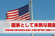 米国「韓国のハリス大使批判は政治家を幼稚に見せるだけ」　正論だな…