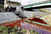 【社会】京都・鴨川の水が真っ赤に　原因調査中、水門から大量の赤い液体が流入