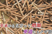 【悲報】走り屋スポット近くの国道に釘がばらまかれる…