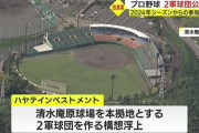 プロ野球の新たな2軍球団を公募　2チームほどが2024年シーズンから参入