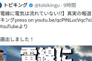 【衝撃】電線、電気流れていなかった