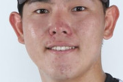 ロッテ安田尚憲(23)の完成形