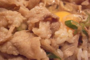 昨日すた丼テイクアウトして電車で食ったんだけど