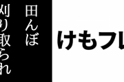 完全に刈り取られた後の「けものフレンズ田んぼアート」