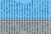 【炎上】美人すぎる女社長(22歳)「私は年商7億円だから一般人の147倍優秀だ」ﾏｳﾝﾄｵｼﾞｻﾝ「ｼｭﾊﾞﾊﾞﾊﾞﾊﾞ