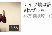 【悲報】ねづっちさん、ナイツ塙で完全に味を占める