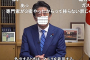 【悲報】安倍総理がニコニコに投稿したメッセージ動画、荒らされる