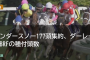 サンダースノー177頭集約、ダーレーとBRFの種付頭数