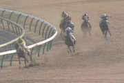 【競馬】マルゼンスキーの蔵出し動画が公開…半世紀近く前の映像残ってたのか