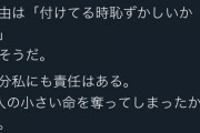 【感動】女さん、赤ちゃん3人堕して命の尊さを知る。