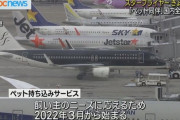 【スターフライヤー】機内ペット同伴サービス本格開始も「避難時は置き去り」で批判殺到