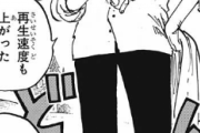 【ONEPIECE -ワンピース】不死鳥マルコがなぜか参戦ｗｗｗｗｗｗｗｗｗｗｗｗｗ