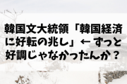 【悲報】韓国文大統領「韓国経済に好転の兆し」← ずっと好調じゃなかったんか？