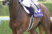【全然勝てない善戦馬】カレンブーケドール　秋の天皇賞からジャパンカップを予定