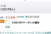 【乞食速報】Amazonで2000円の皿が2個買って100円