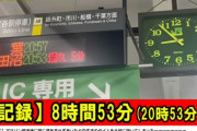 【痛恨】やす子が14時間かかったマラソンコース、9時間で歩けるとYouTuberに実証されてしまう